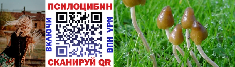 Псилоцибиновые грибы MAGIC MUSHROOMS  Сясьстрой 