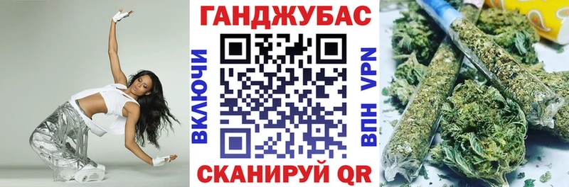 Бошки Шишки план  Сясьстрой 